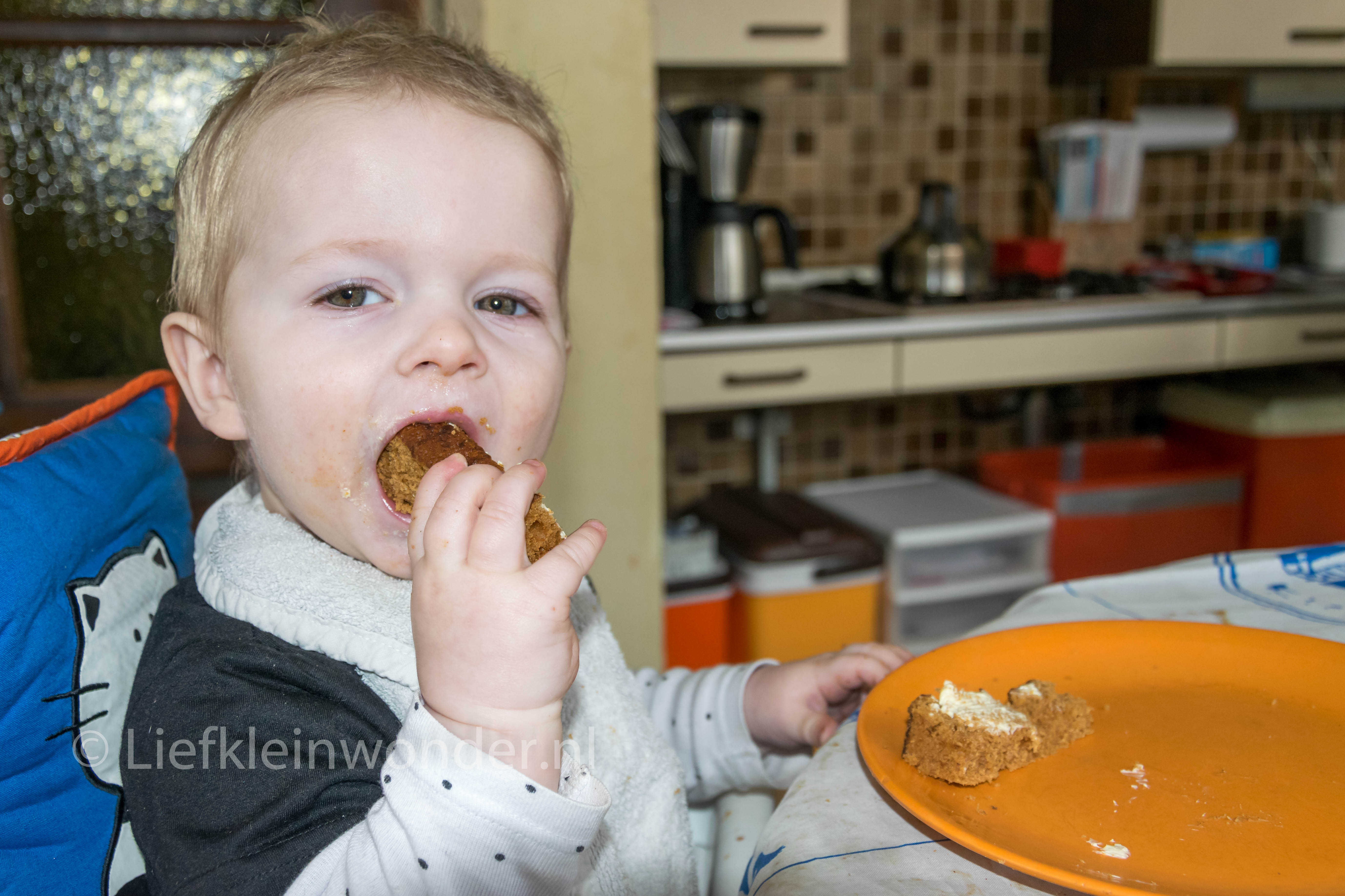 14 Maanden En 2 Weken Oud Ontbijtkoek Eten Liefkleinwonder